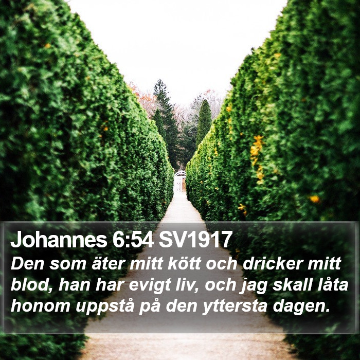 Johannes 6:54 SV1917 Bible Study