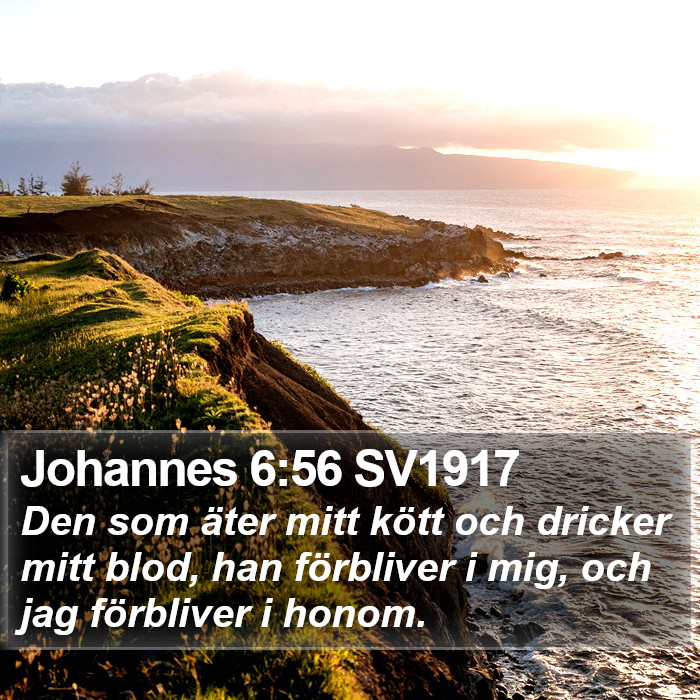 Johannes 6:56 SV1917 Bible Study