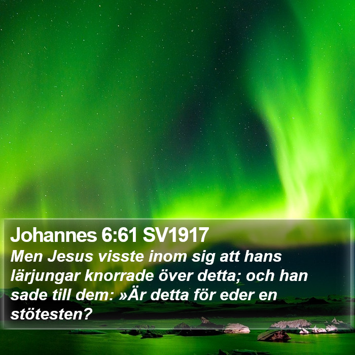 Johannes 6:61 SV1917 Bible Study