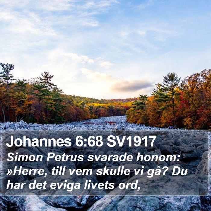 Johannes 6:68 SV1917 Bible Study