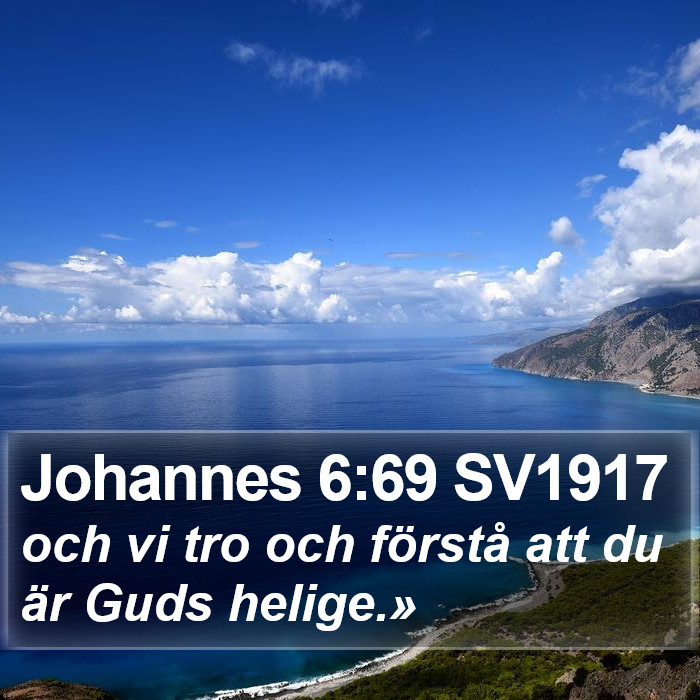 Johannes 6:69 SV1917 Bible Study