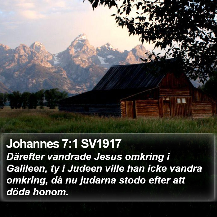 Johannes 7:1 SV1917 Bible Study