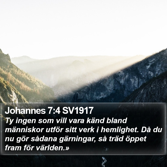 Johannes 7:4 SV1917 Bible Study