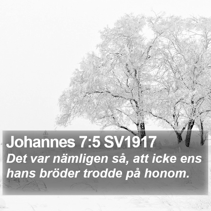 Johannes 7:5 SV1917 Bible Study