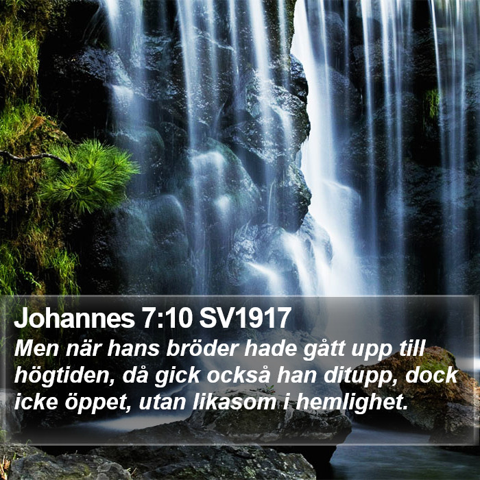 Johannes 7:10 SV1917 Bible Study