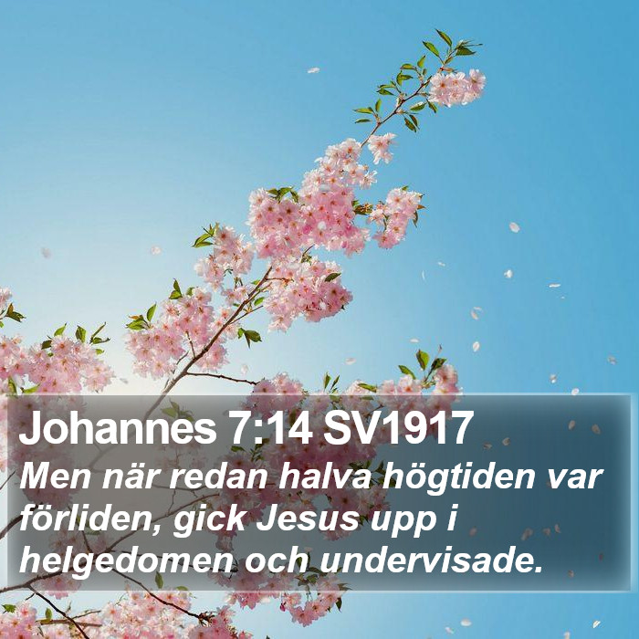 Johannes 7:14 SV1917 Bible Study