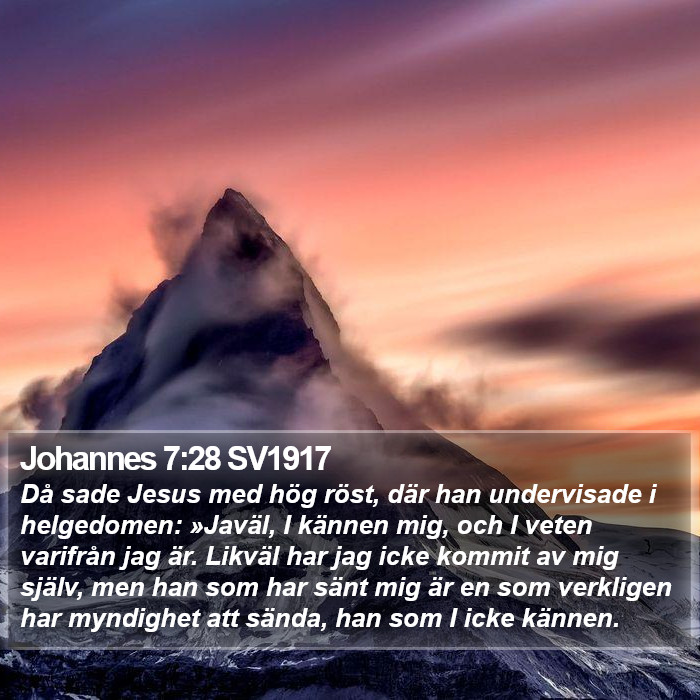 Johannes 7:28 SV1917 Bible Study