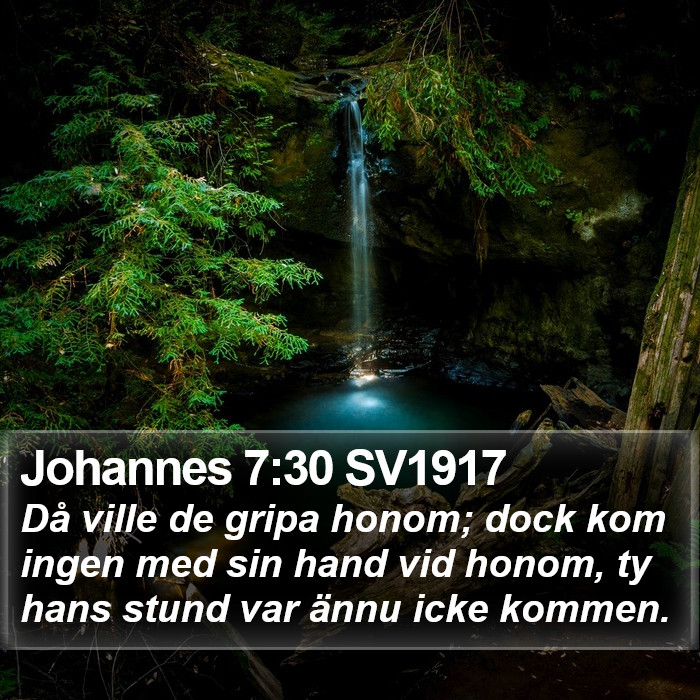 Johannes 7:30 SV1917 Bible Study