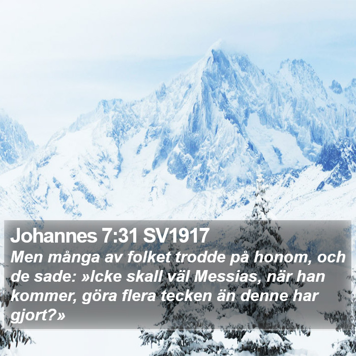 Johannes 7:31 SV1917 Bible Study