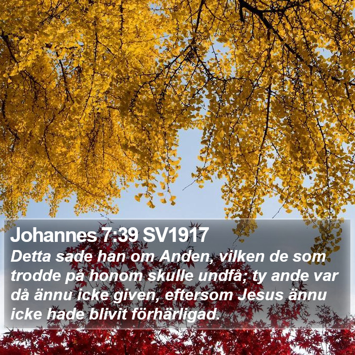 Johannes 7:39 SV1917 Bible Study