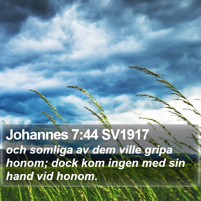 Johannes 7:44 SV1917 Bible Study