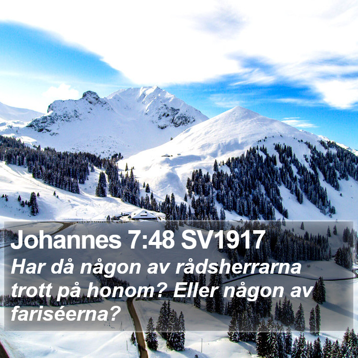 Johannes 7:48 SV1917 Bible Study