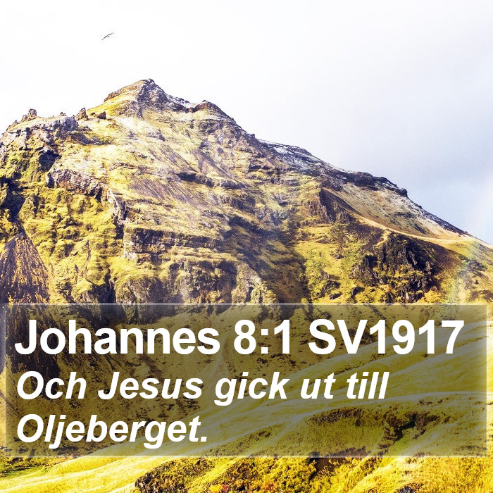 Johannes 8:1 SV1917 Bible Study