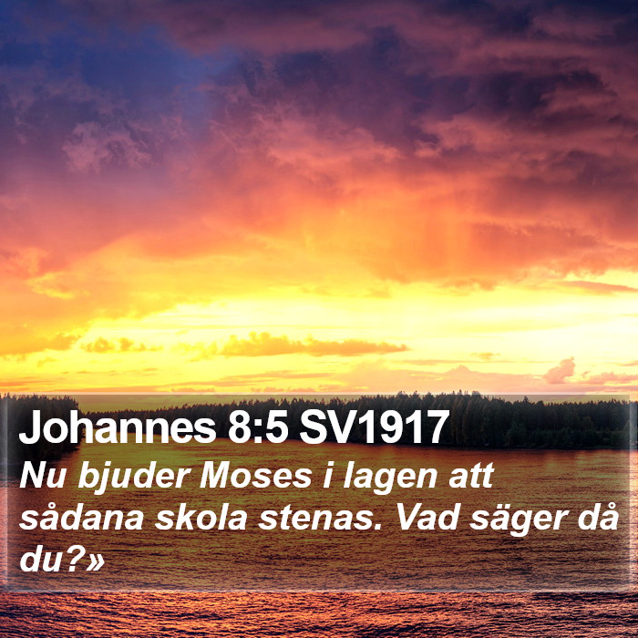 Johannes 8:5 SV1917 Bible Study