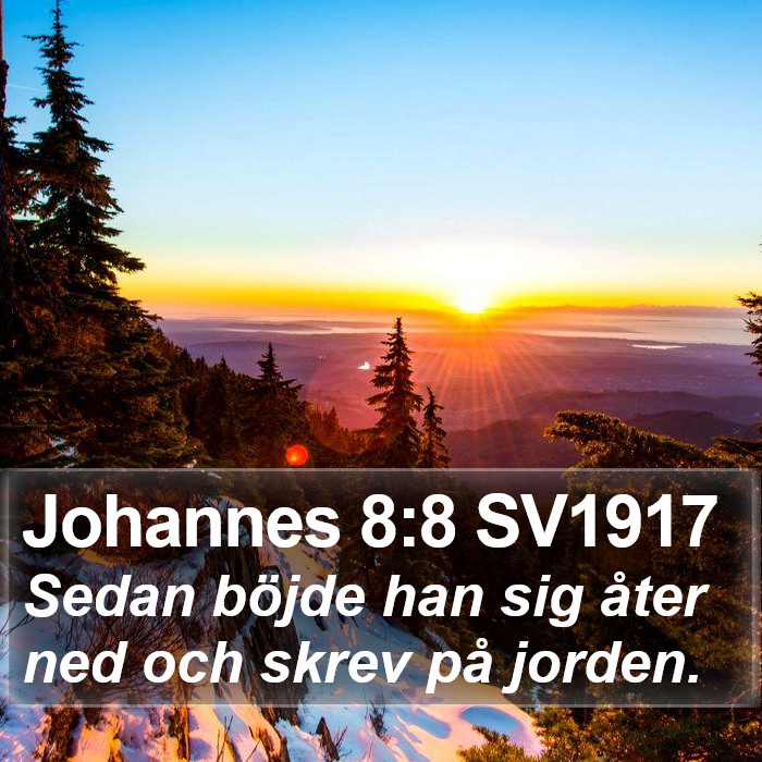 Johannes 8:8 SV1917 Bible Study