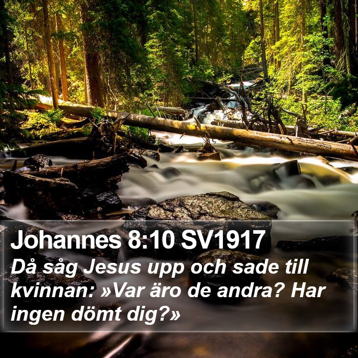 Johannes 8:10 SV1917 Bible Study