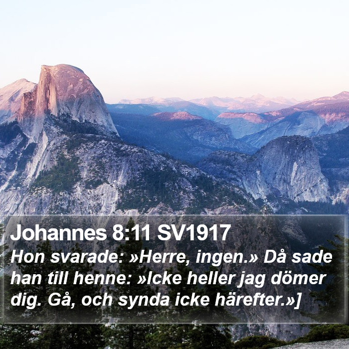 Johannes 8:11 SV1917 Bible Study