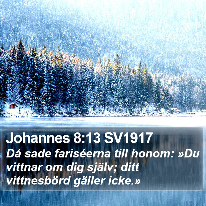 Johannes 8:13 SV1917 Bible Study