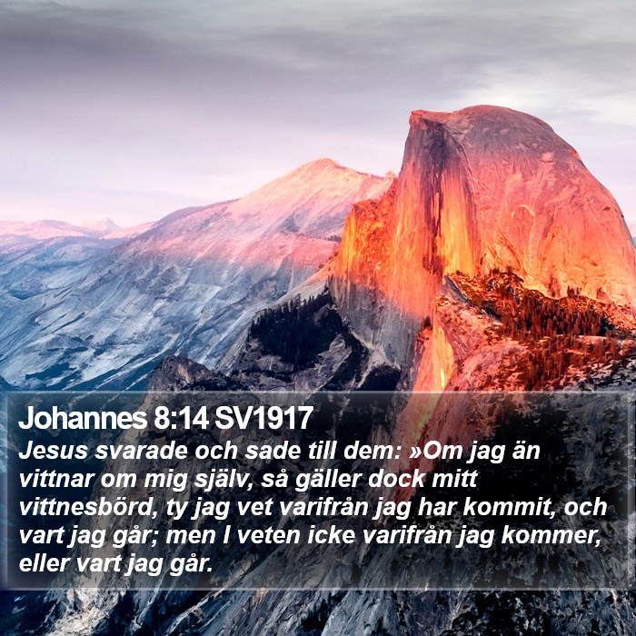 Johannes 8:14 SV1917 Bible Study