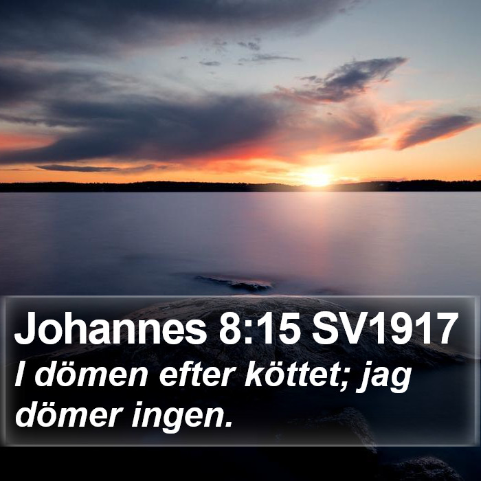 Johannes 8:15 SV1917 Bible Study