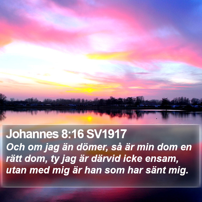 Johannes 8:16 SV1917 Bible Study