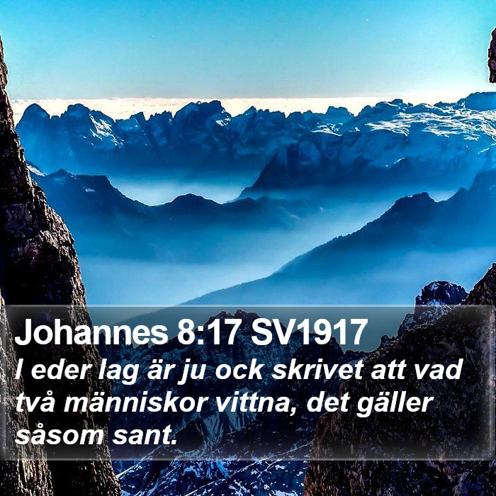 Johannes 8:17 SV1917 Bible Study