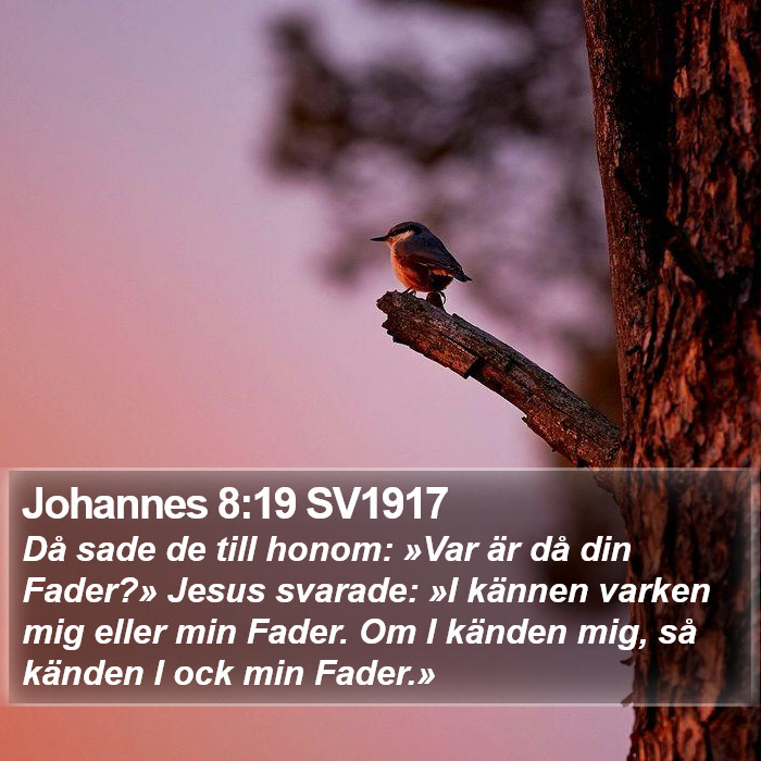 Johannes 8:19 SV1917 Bible Study