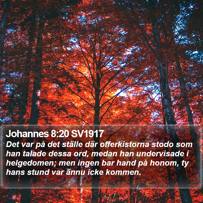 Johannes 8:20 SV1917 Bible Study