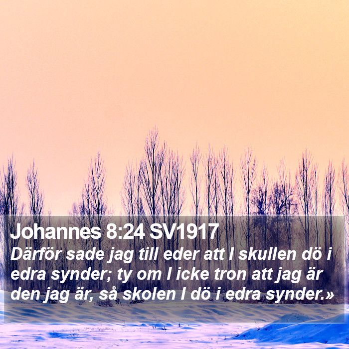 Johannes 8:24 SV1917 Bible Study