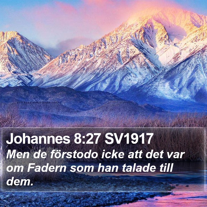 Johannes 8:27 SV1917 Bible Study