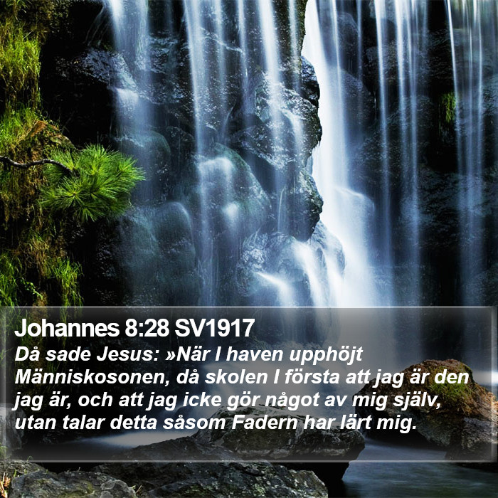 Johannes 8:28 SV1917 Bible Study