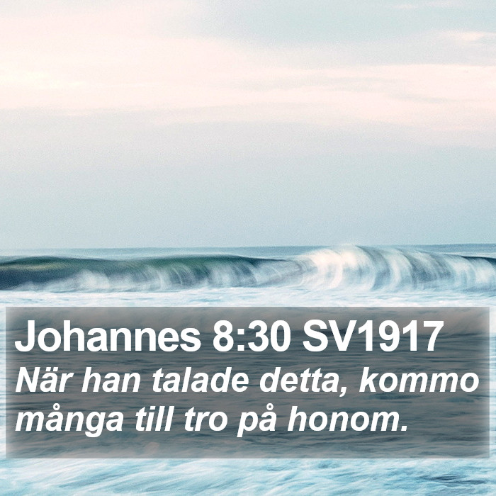 Johannes 8:30 SV1917 Bible Study