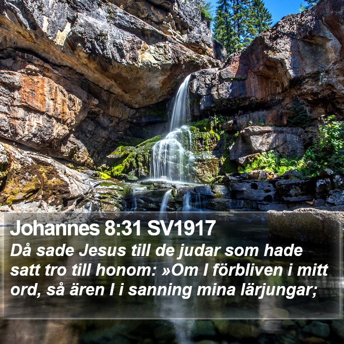 Johannes 8:31 SV1917 Bible Study