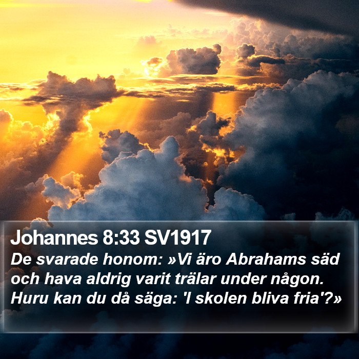 Johannes 8:33 SV1917 Bible Study