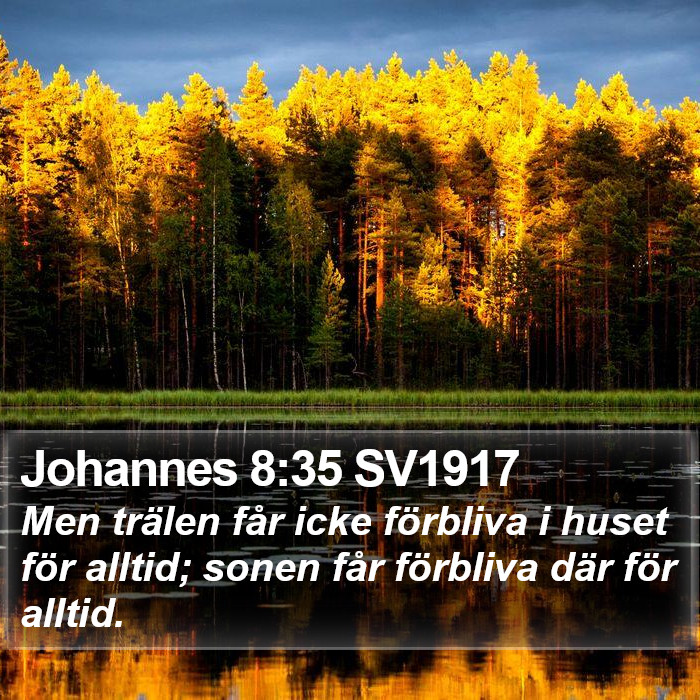 Johannes 8:35 SV1917 Bible Study