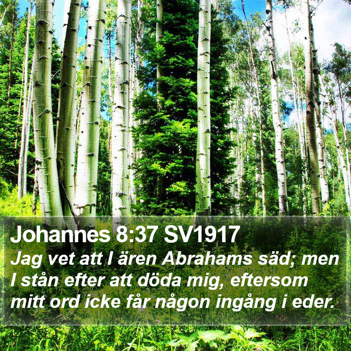 Johannes 8:37 SV1917 Bible Study