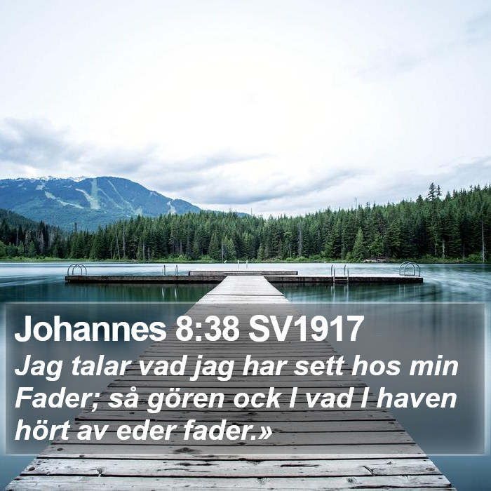 Johannes 8:38 SV1917 Bible Study