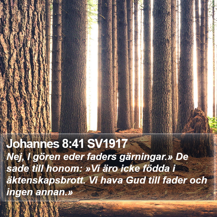 Johannes 8:41 SV1917 Bible Study