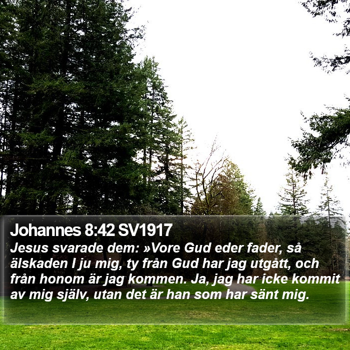 Johannes 8:42 SV1917 Bible Study