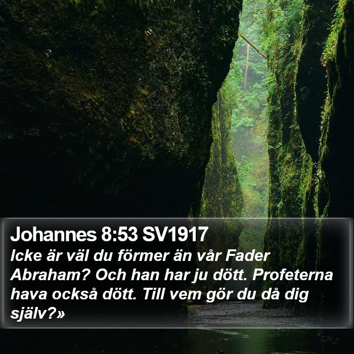 Johannes 8:53 SV1917 Bible Study