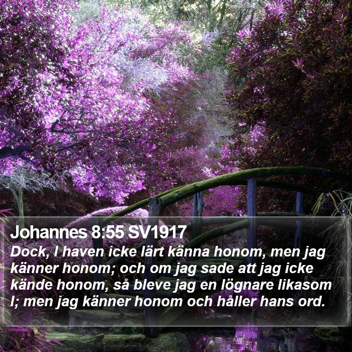 Johannes 8:55 SV1917 Bible Study