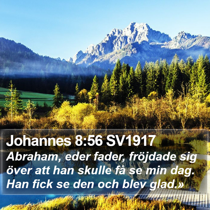 Johannes 8:56 SV1917 Bible Study