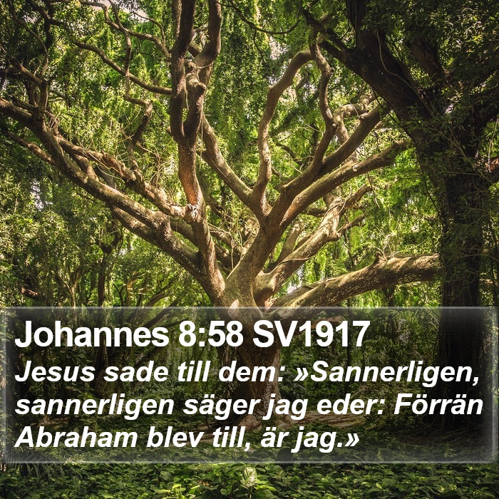 Johannes 8:58 SV1917 Bible Study