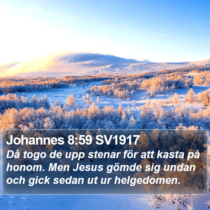 Johannes 8:59 SV1917 Bible Study