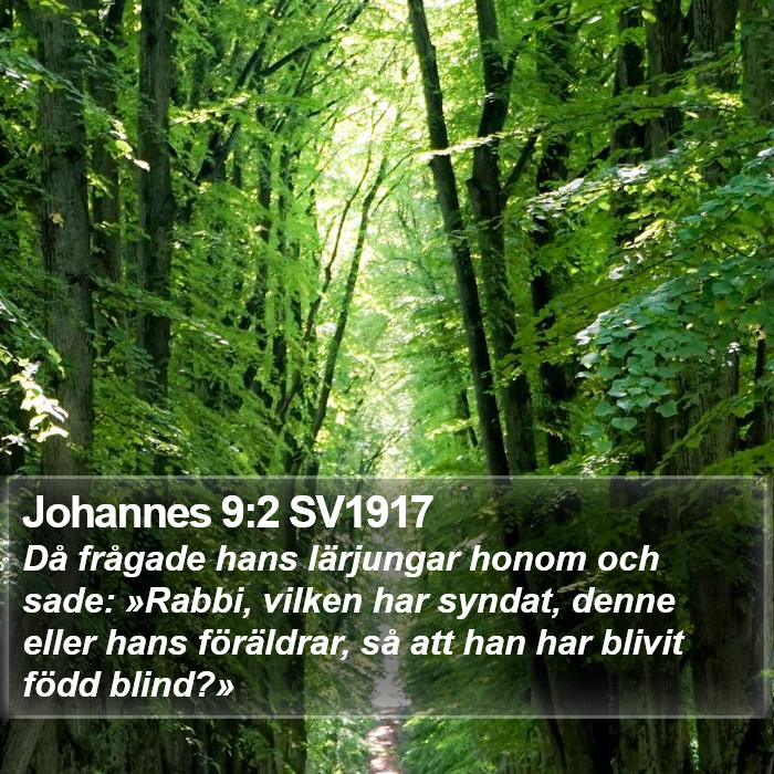 Johannes 9:2 SV1917 Bible Study