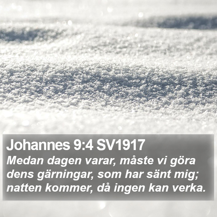 Johannes 9:4 SV1917 Bible Study