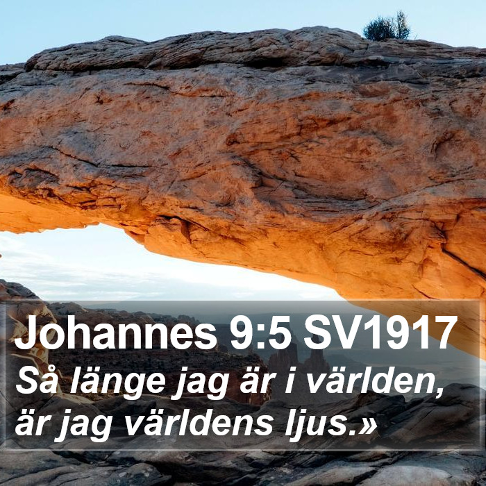 Johannes 9:5 SV1917 Bible Study