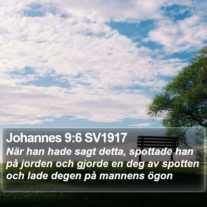 Johannes 9:6 SV1917 Bible Study