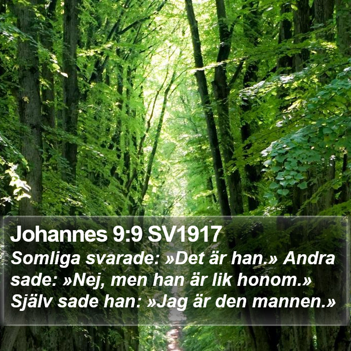 Johannes 9:9 SV1917 Bible Study