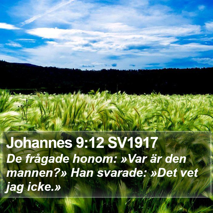 Johannes 9:12 SV1917 Bible Study